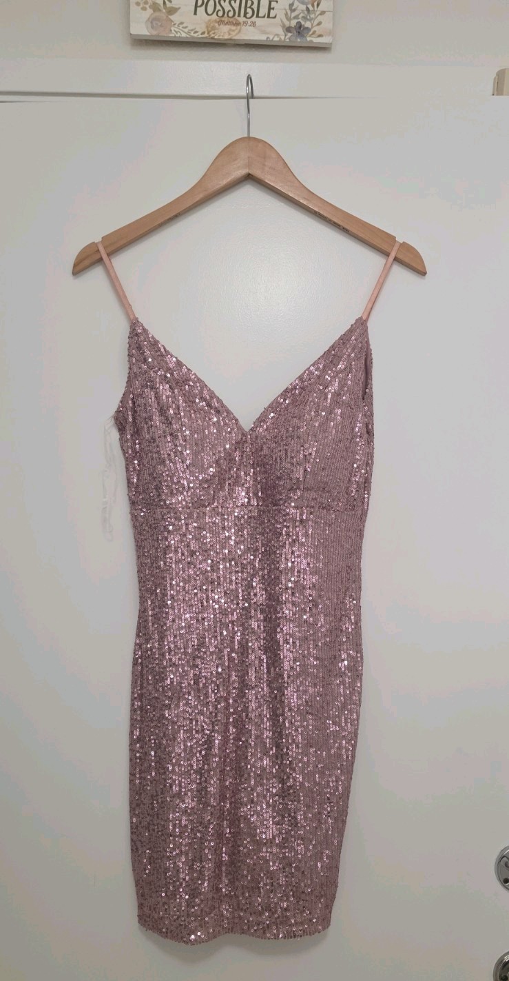 NWT* Emerald Sundae Champange Pink Mauve Sequined Dress SIZE M