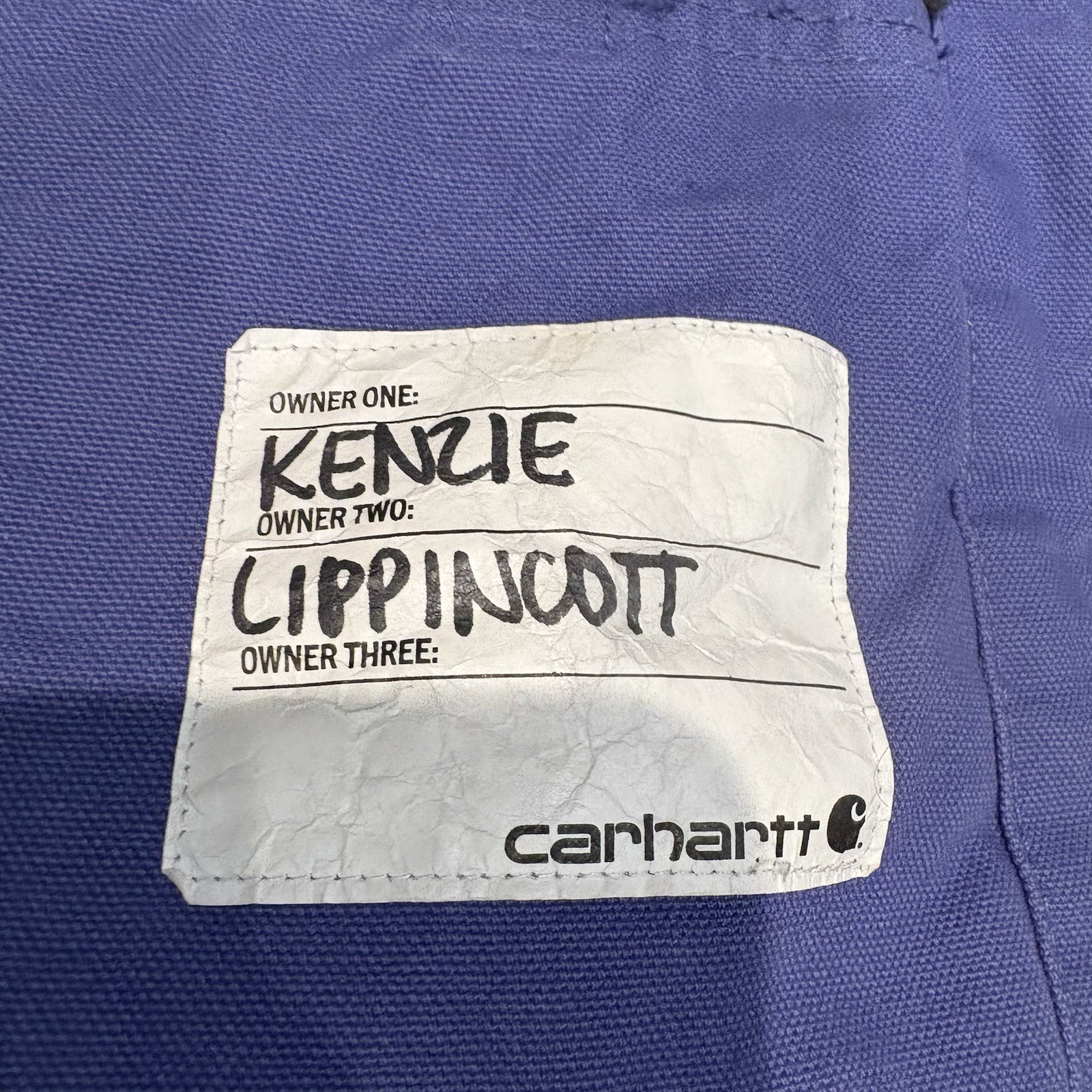 Carhartt Periwinkle Blue Kids SZ L (14) Sherpa Lined Active Jacket CP9564