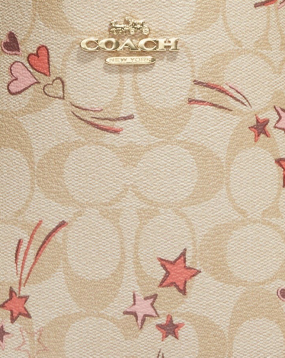 NWT 🎁 Coach Mollie Bucket Bag 22 In Signature Canvas With Heart Shooting Star
