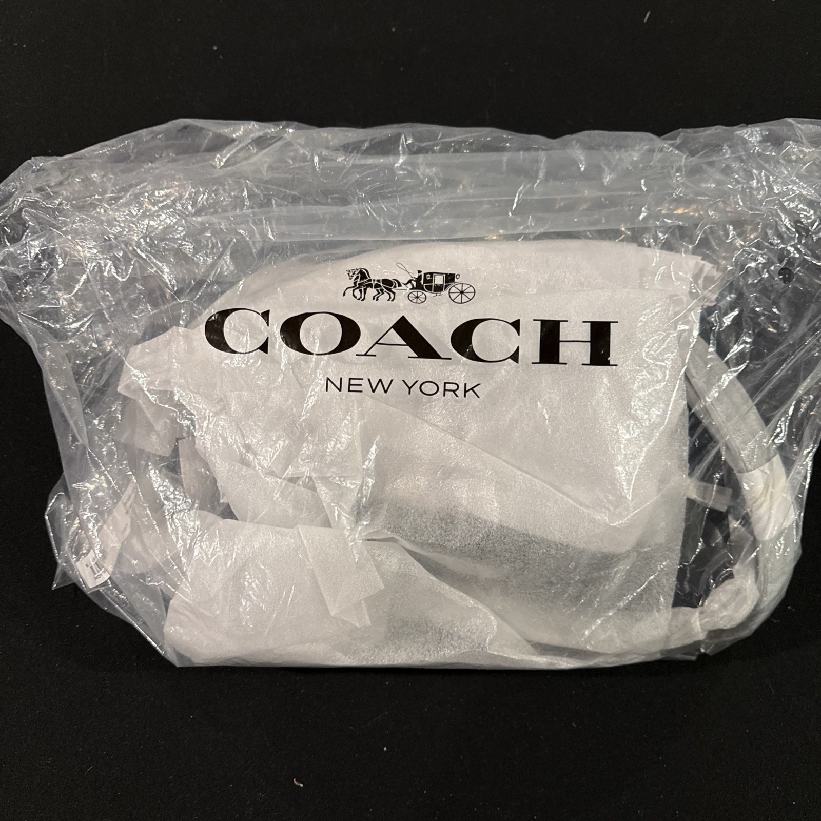 DEFECTIVE with tags Coach Soft Grain Chain Tabby Shoulder Bag 30 Origin G3D