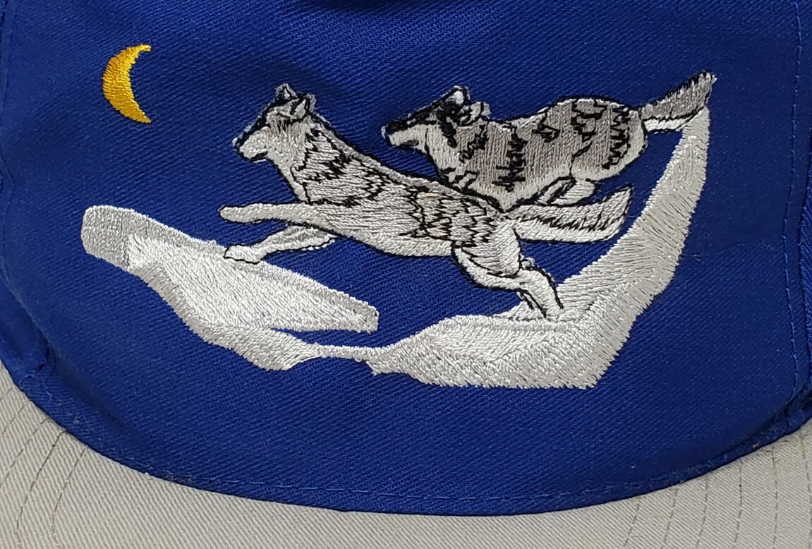 Vintage Wolf-Pak San Sun Terrycloth Head Band Blue Snapback Hat Cap OSFA