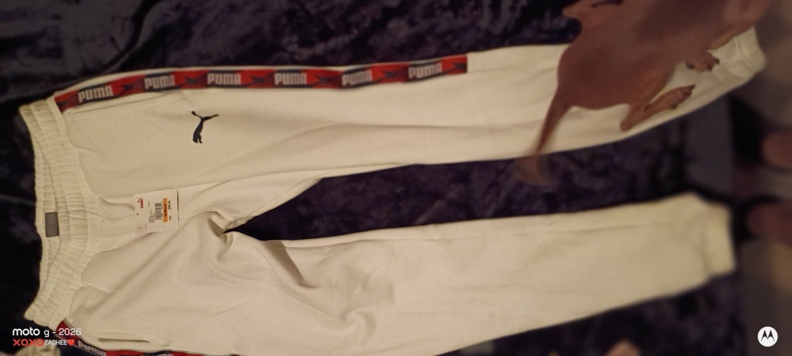 Puma Sweat Pants , Hoodie Combo