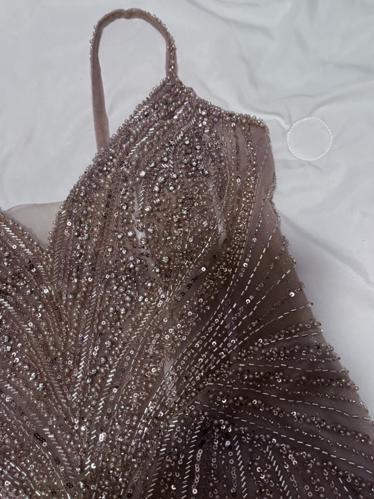 Ladivine by Cinderella Divine Champagne Beaded Sequin Mesh Gown Dress Size 12P