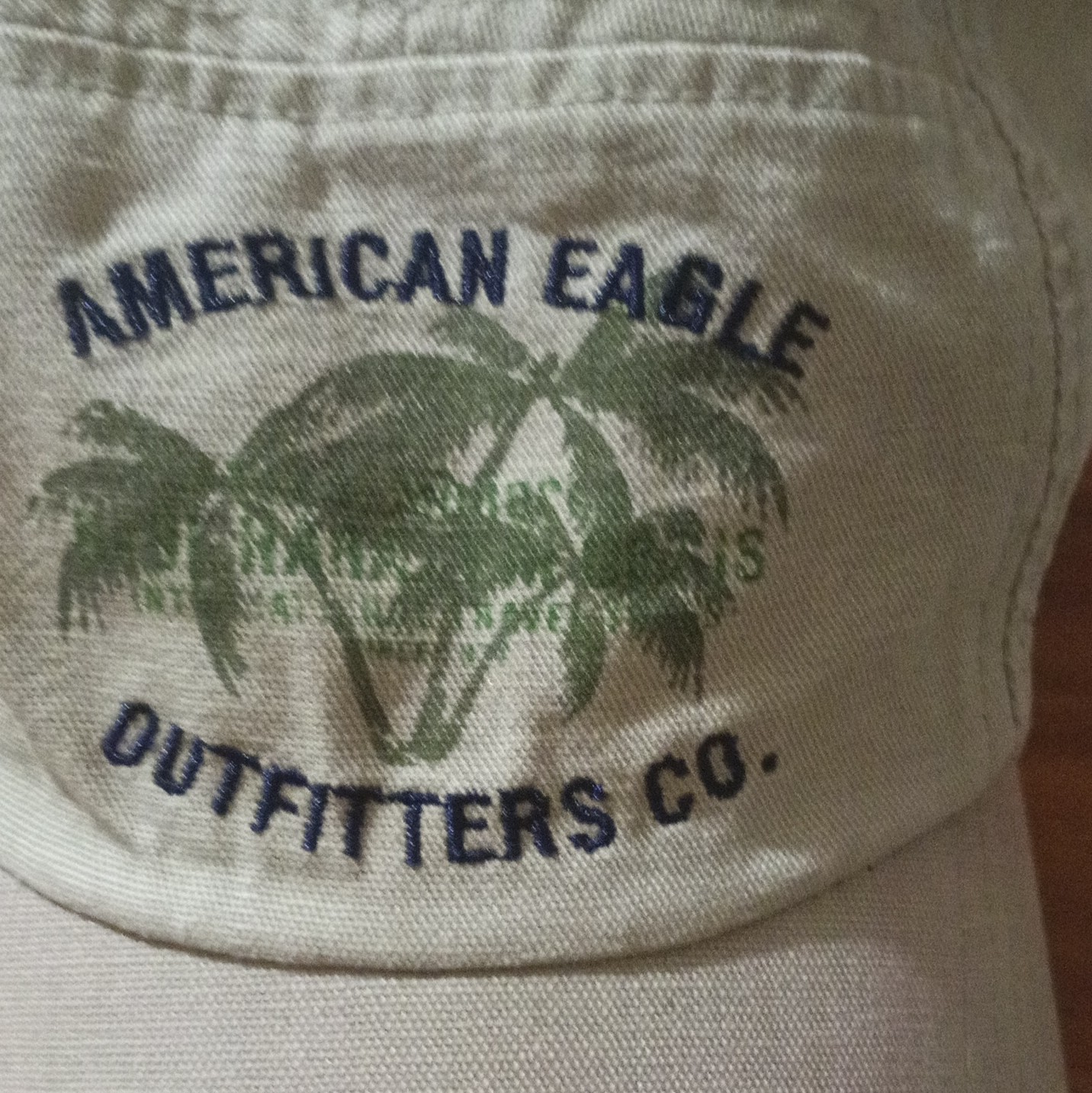 Vtg American Eagle Outfitters Palm Tree Dad Hat Distressed Made in Taiwan Y2K