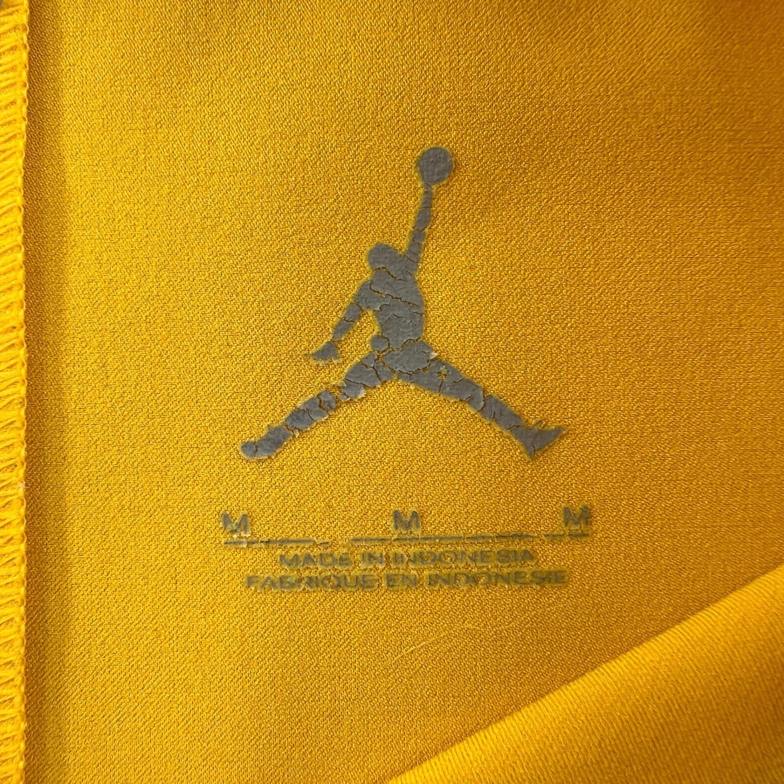 Nike Air Jordan Michigan Wolverines Polo Shirt Men Medium Yellow Dri Fit Sporty