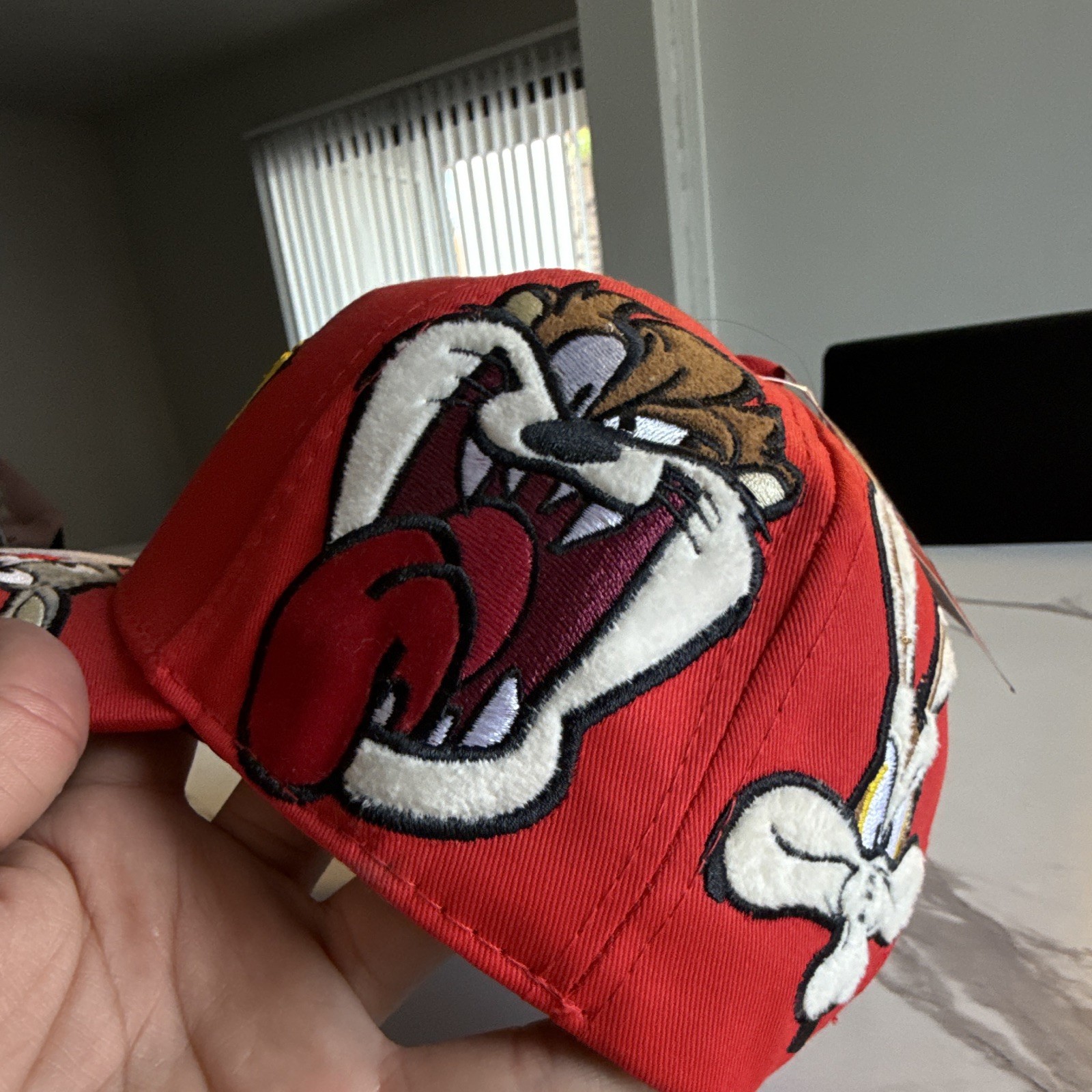 Warner Bros. Gorra Baseball Roja Ajustable Looney Tunes Personajes Bordados