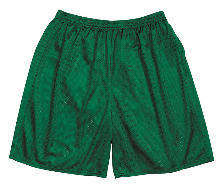 Men’s Athletic Mesh Shorts -11 Assorted Colors