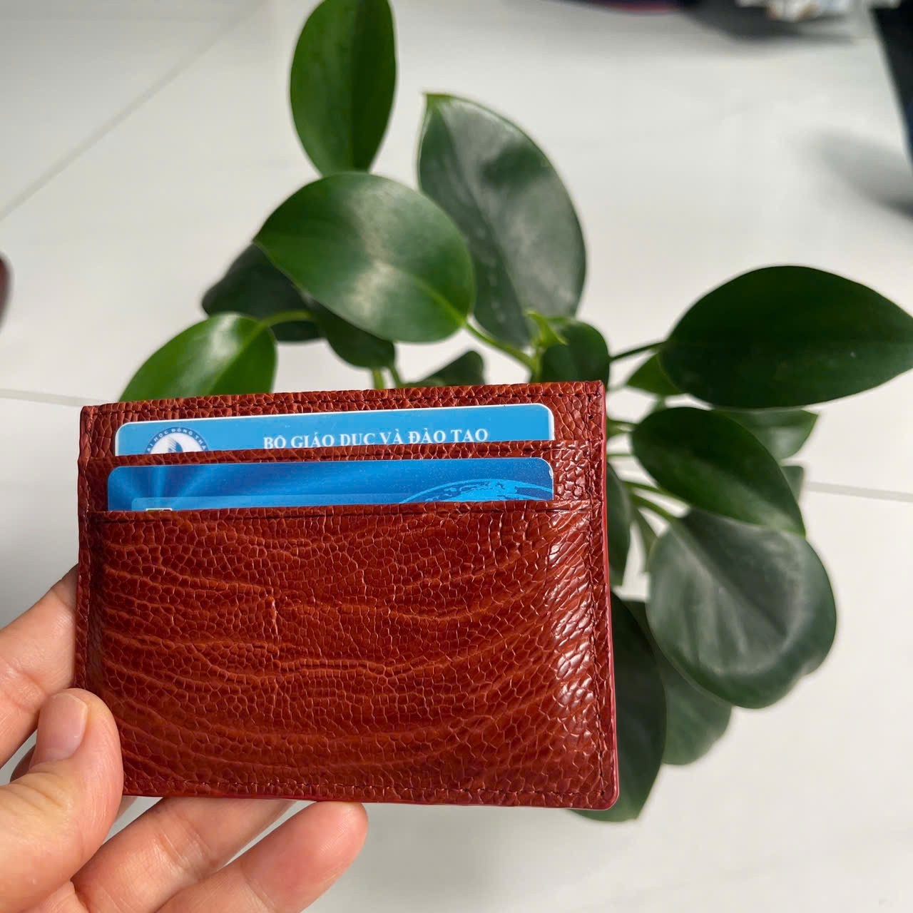 BrownGENUINE OSTRICH LEATHER SKIN CREDIT CARD HOLDER/ WALLET CARD HOLDER FOR MEN