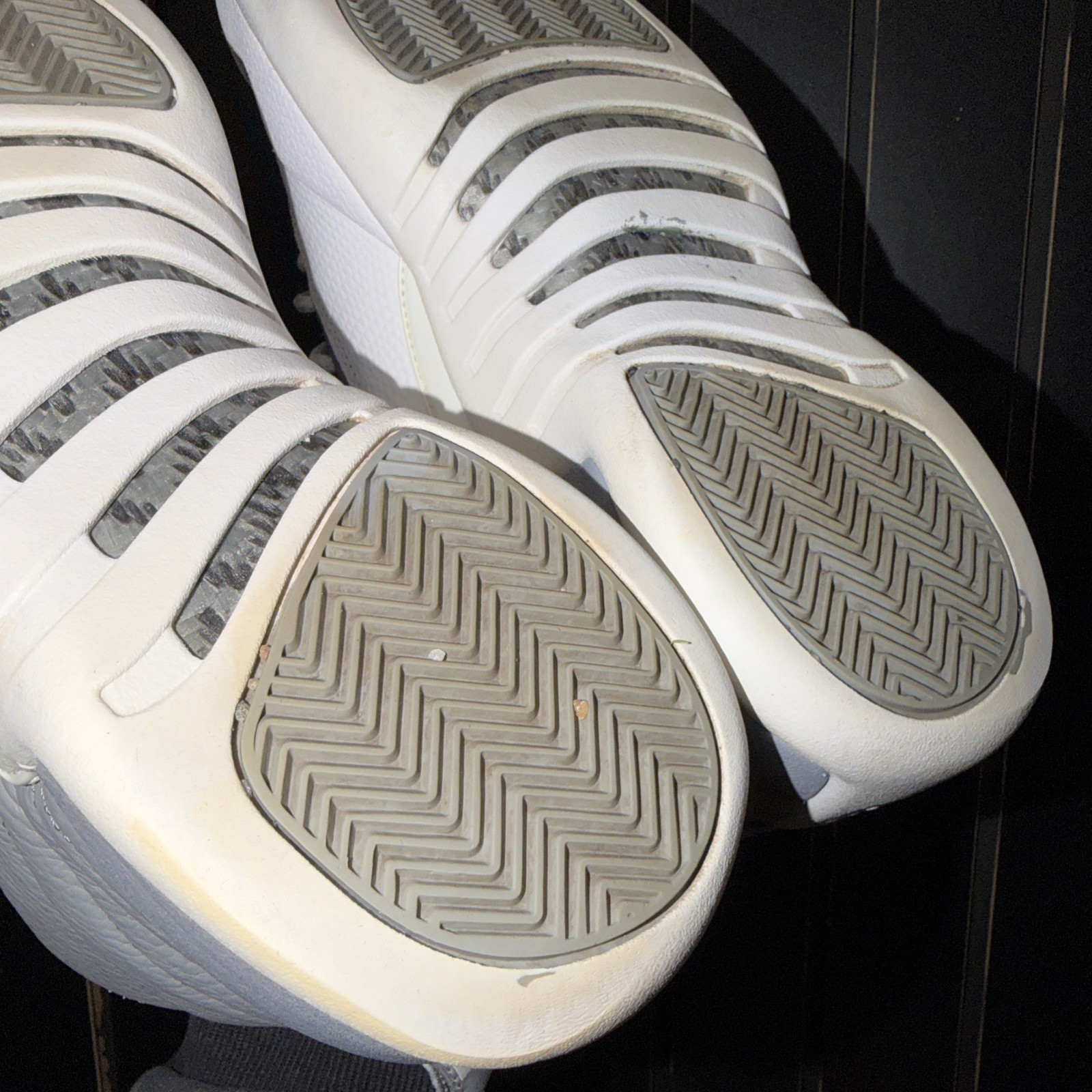 Size 10.5 – Jordan 12 Stealth 2022