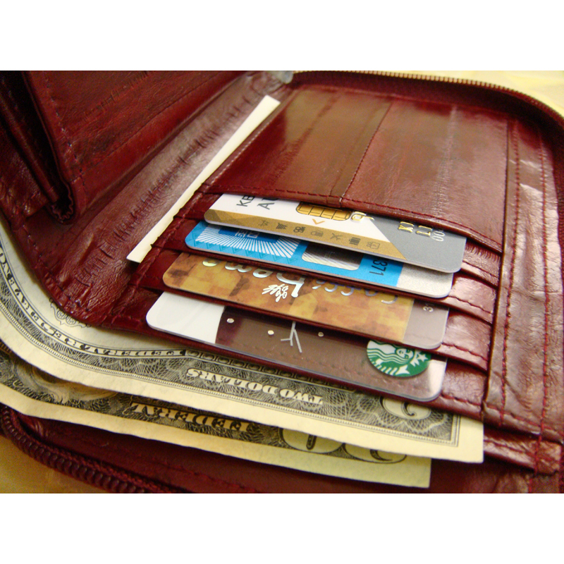 Genuine Eel Skin Leather Zipper Around Purse Wallet (medium-sized wallet)