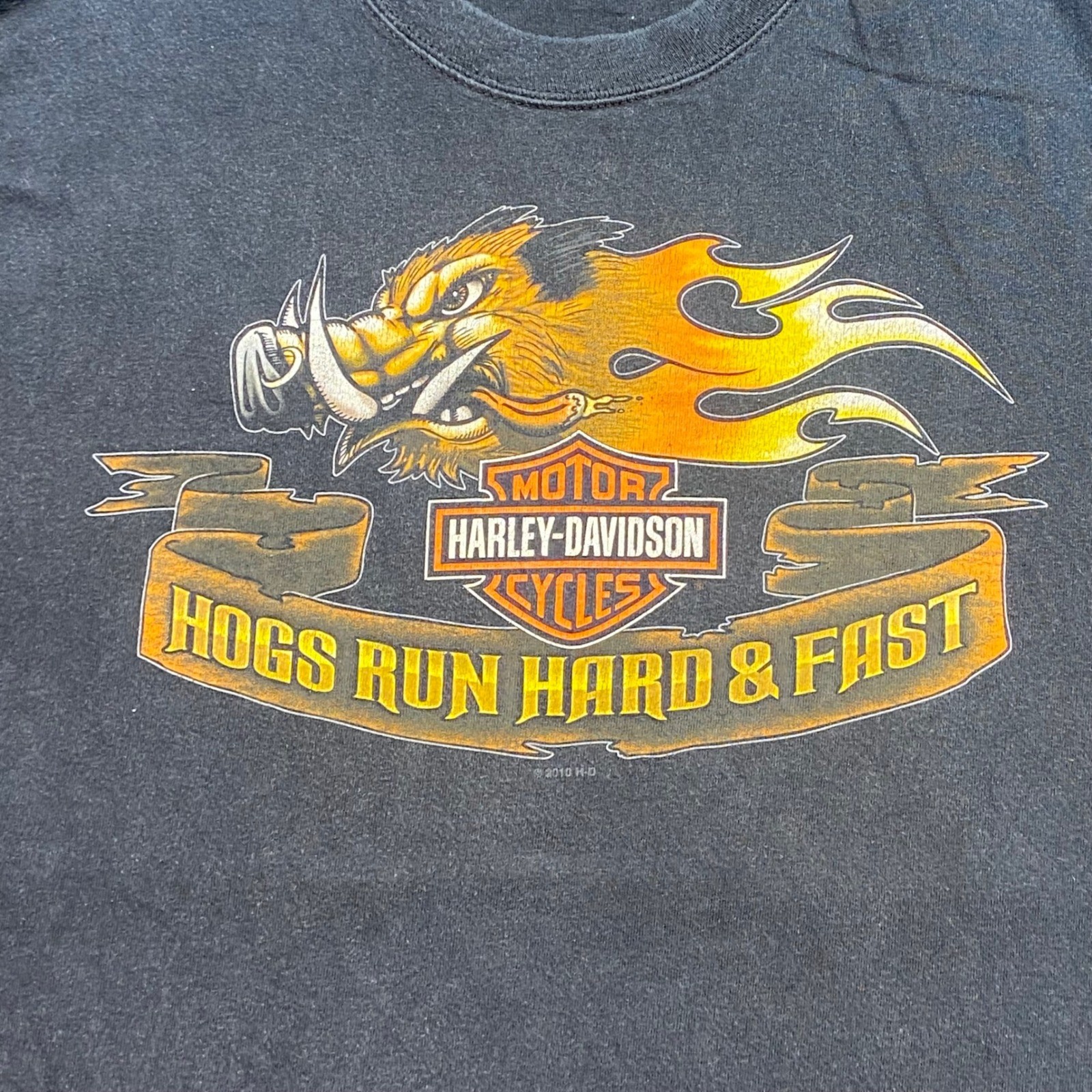 Harley Davidson Shirt Sz L Men Black Biker Hogs Run Hard Fast Amarillo Texas Tee