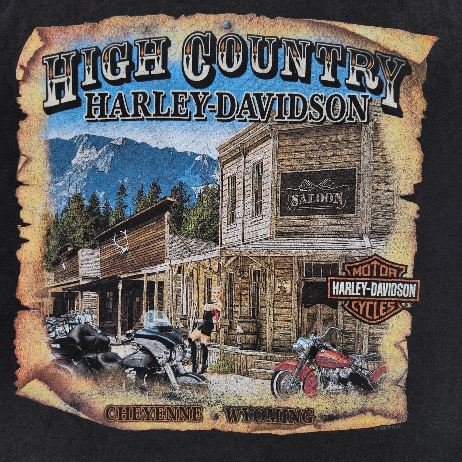 Harley Davidson Graphic Shirt Mens XL Black Flaming Skull High Country Wyoming