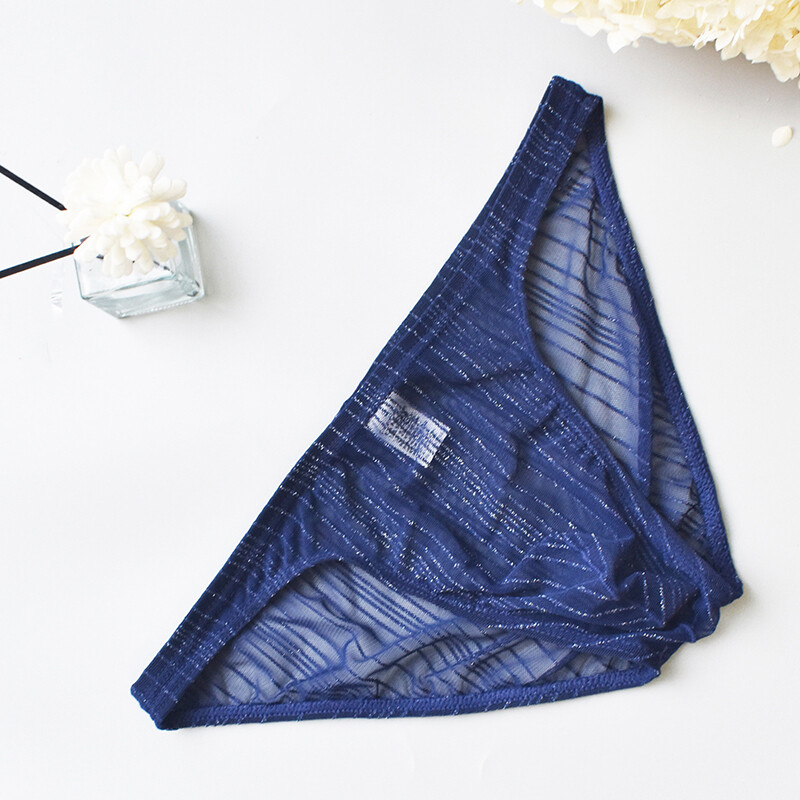 2 Pack Lot Sexy Mens Mesh Underwear Underpant Low Waist Bikini Pouch Brief Soft