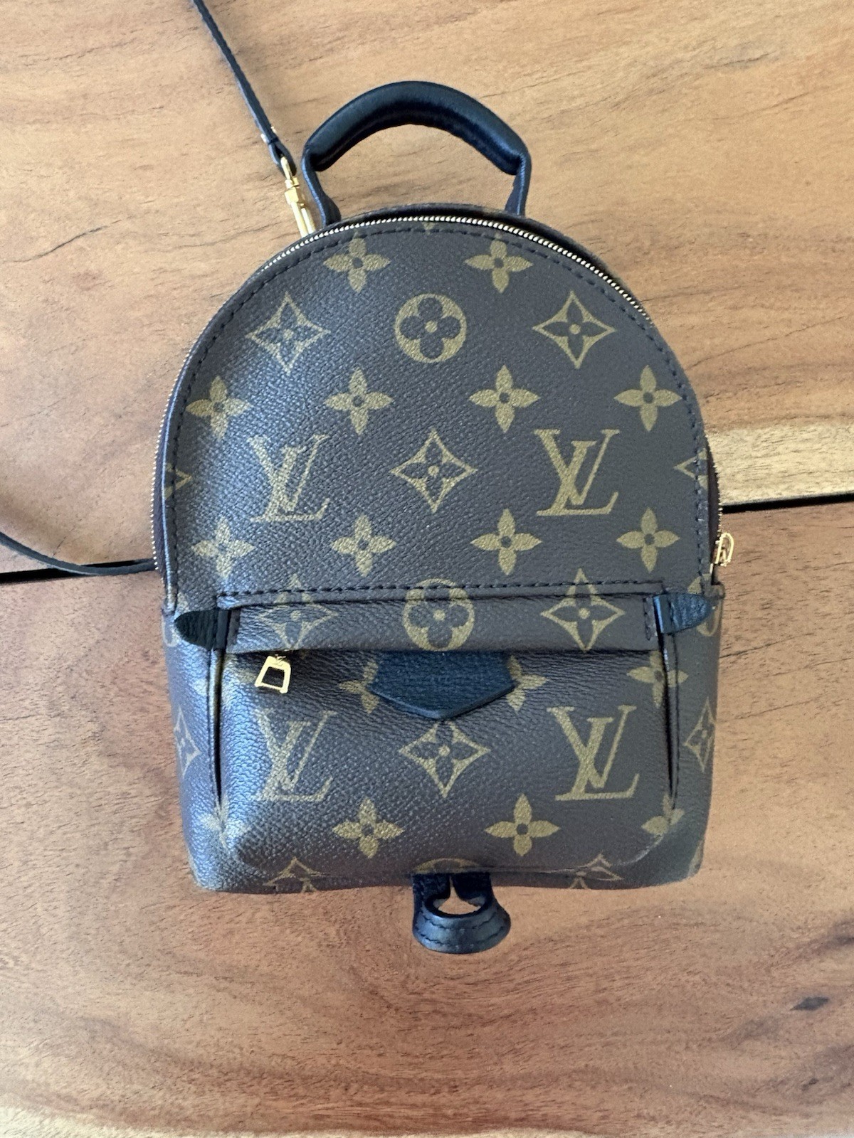 Louis Vuitton Palm Springs Backpack Mini Brown Canvas Monogram
