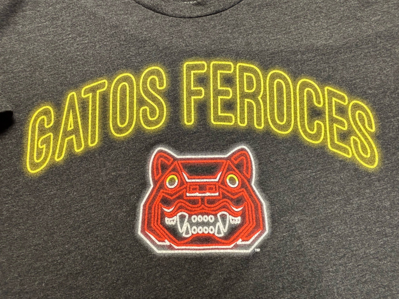 Gatos Feroces Graphic T Shirt Mens Large 108 Stitches Neon Cat