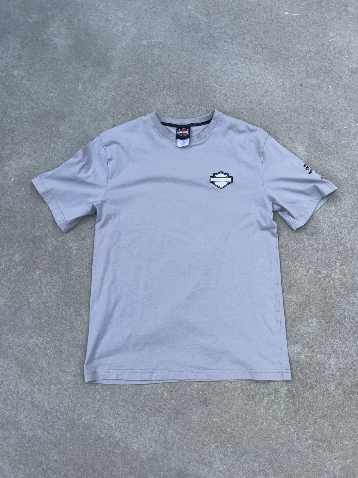 Harley Davidson Embroidered Logo Biker Speedway Grey T Shirt L