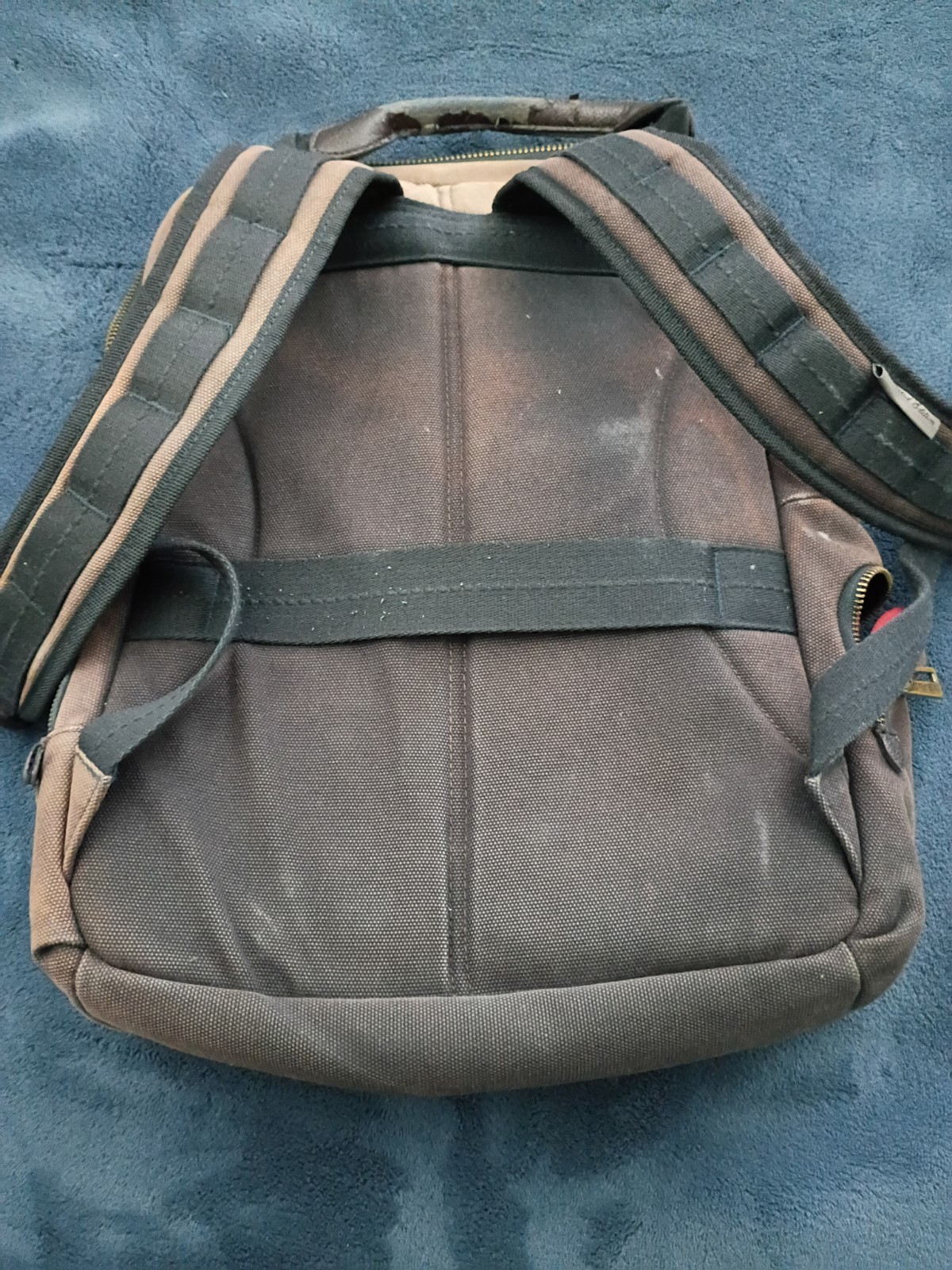 Daniel Cremieux limited edition backpack
