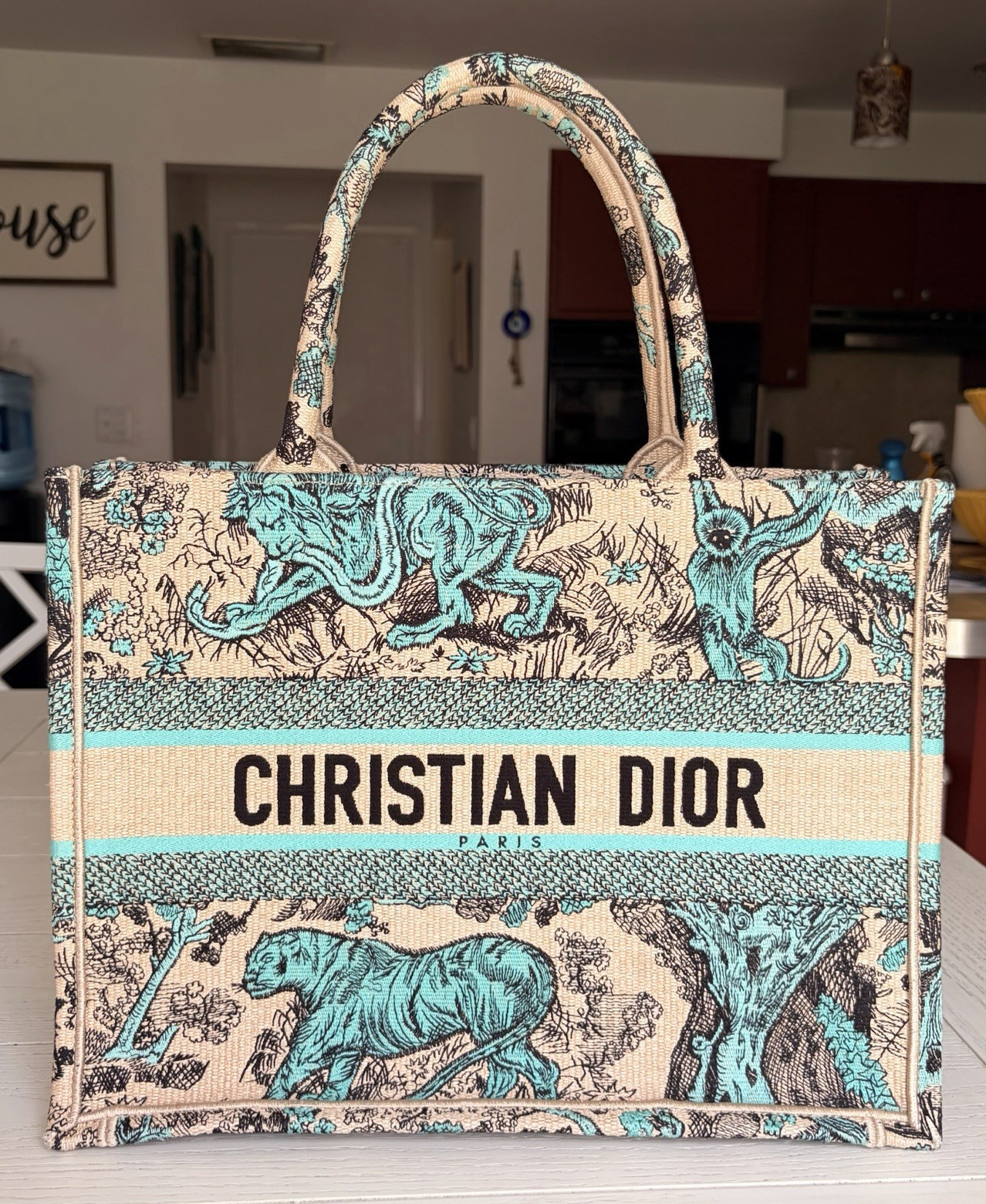 Christian Dior Medium Book Tote