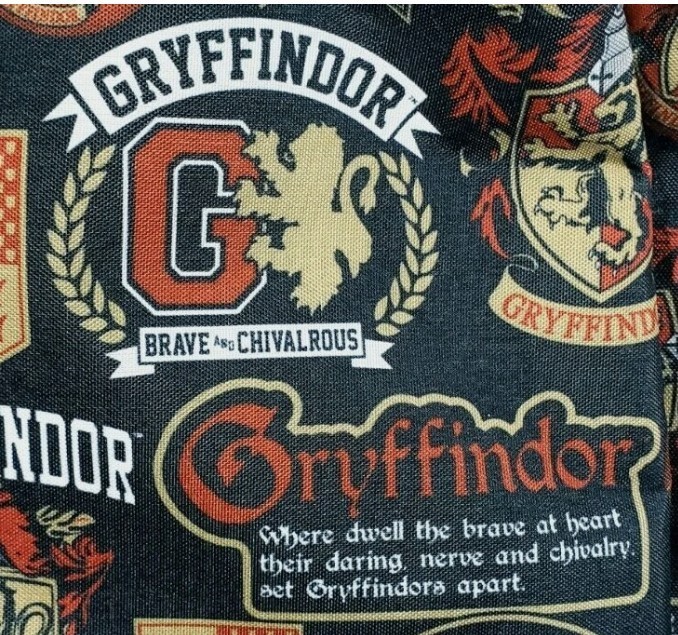 Harry Potter Gryffindor Backpack Hogwart Backpack With 2 Front Pockets 17.5″