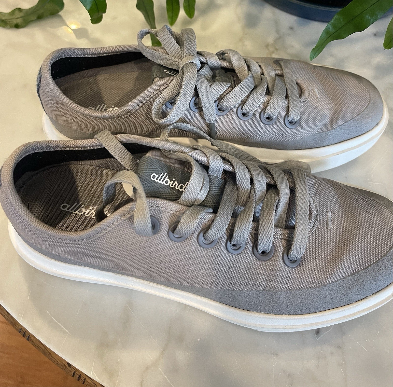 Allbirds Women’s Gray Canvas Piper CP2 Low Top Lace-Up Athletic Sneakers