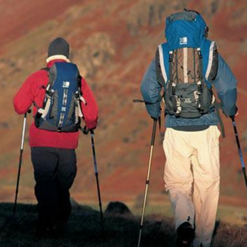 Trekking Poles Nordic Walking Hiking Sticks Anti-shock Adjustable Alpenstock