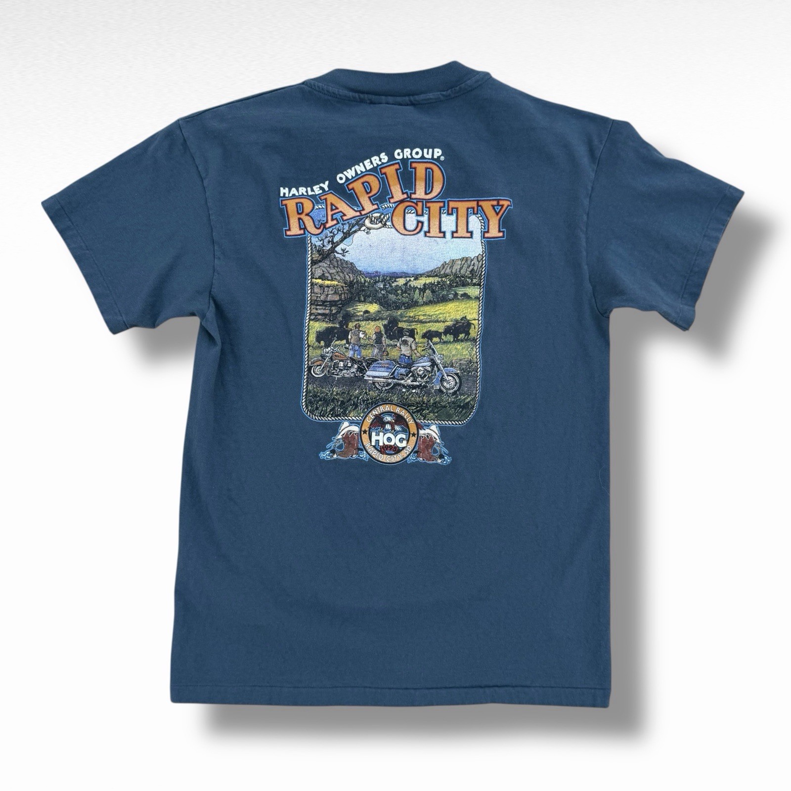 Vintage 1995 Harley Davidson Owners Group Rapid City T-Shirt Blue Size Medium