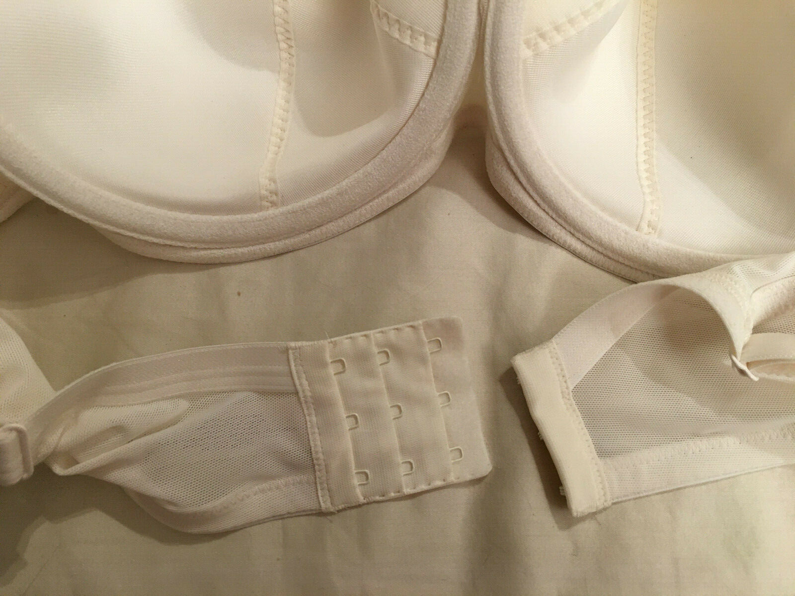 Cacique Lane Bryant pretty bright white bra 42C SWEET 😛 READ