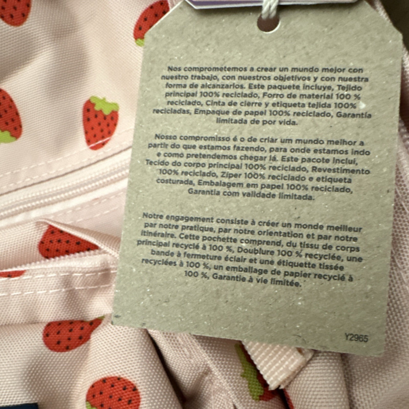 JanSport Big Student Strawberry Shower XL Kids Backpack Zipper Strap Accent