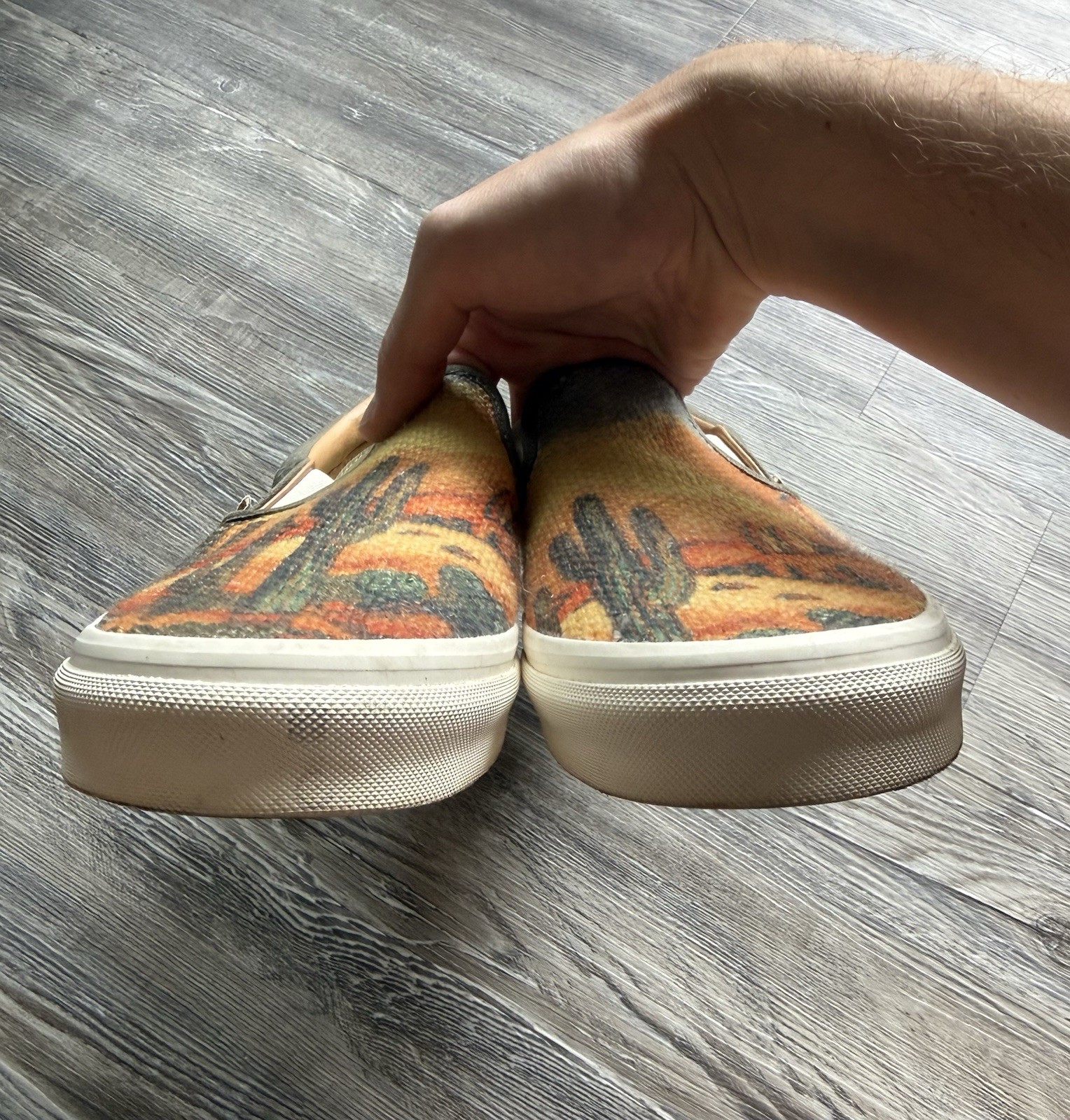 Vans Cactus Desert Tapestry Slip On Shoes Men’s Size 11
