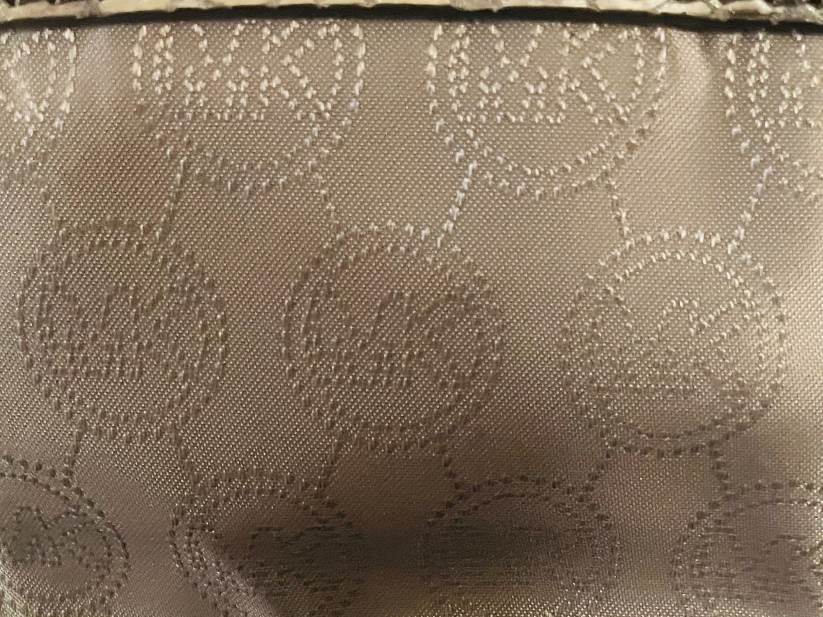 Michael Kors Small Crossbody Bag in Metallic Snakeskin Pattern