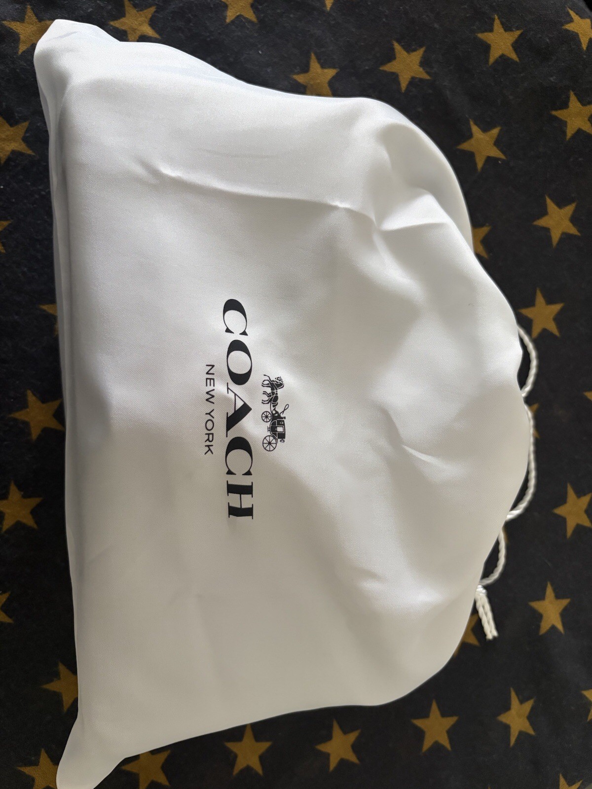 Coach Tabby 26 Black With Pewter And Link Chain Strap In Brass And Pewter