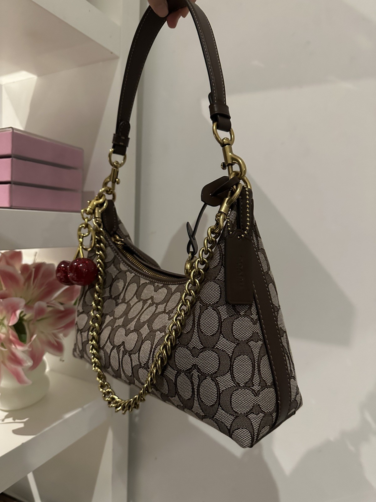 Coach Juliet Shoulder Bag Hand Bag Brown Dust bag 25