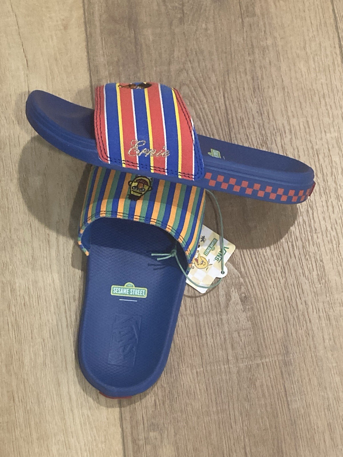 Vans X Sesame Street Bert And Ernie Costa Skids Size 4 Men’s