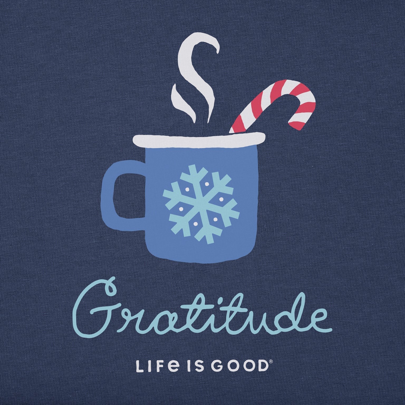 Life Is Good SS Shirt Relaxed Sleep Tee COZY WINTER GRATITUDE MUG 44in Womens L