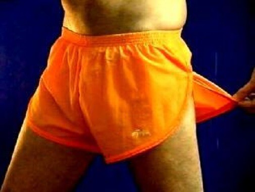 Dolfin Logo Shorts Running Walking Hiking Workout Hooters Uniform Lingerie sexy