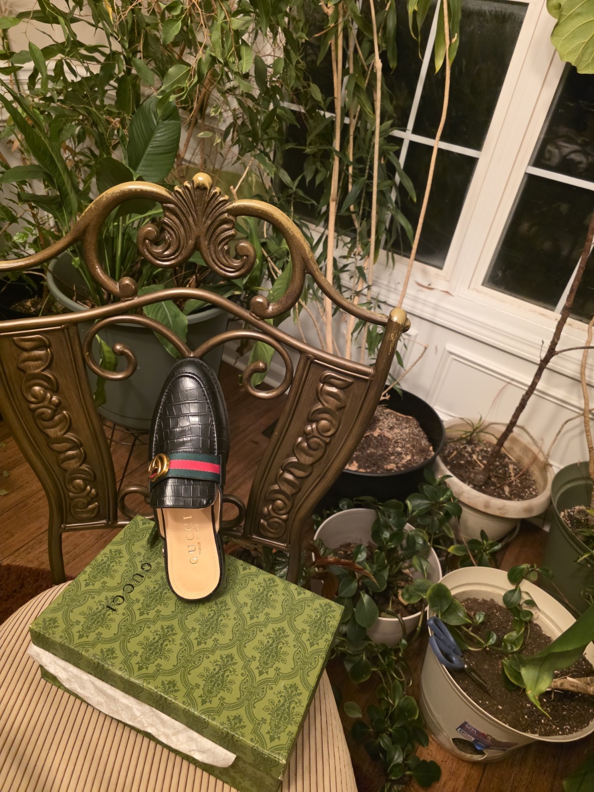 Gucci Mule Slides