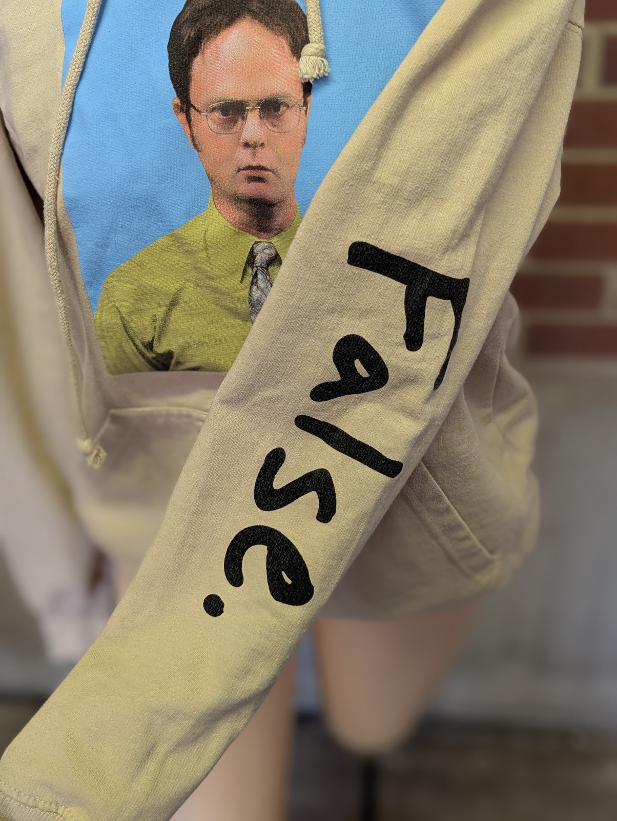 The Office Dwight Schrute False Pullover Hoodie Adult M Beige Ripple Junction