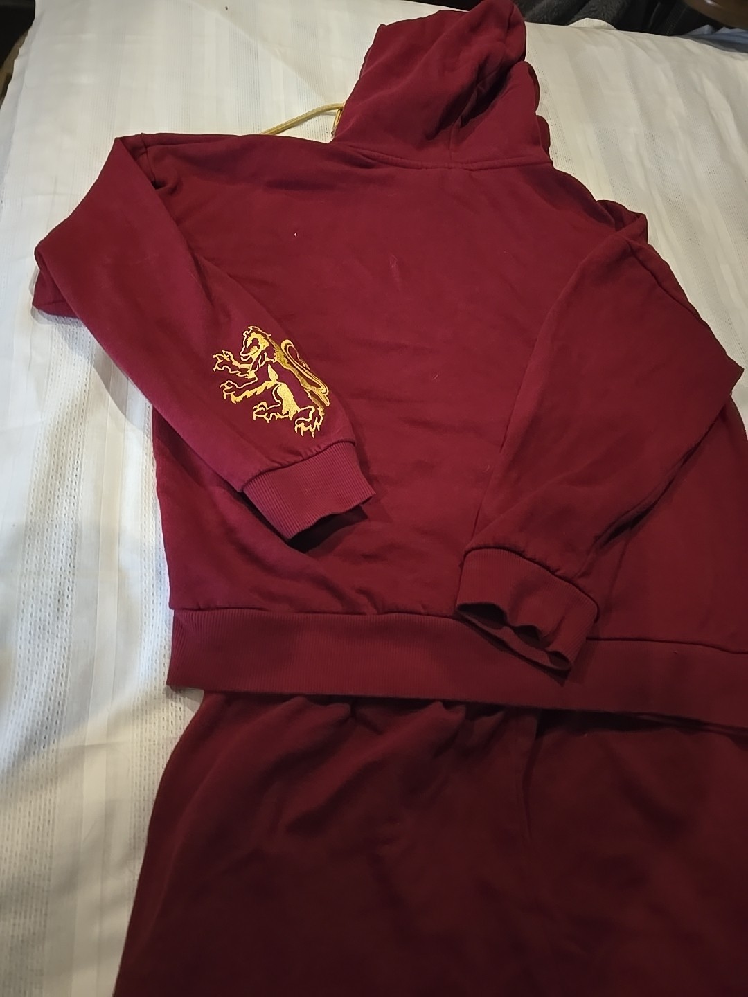 Harry Potter Gryffindor Quidditch Seeker Woman’s M 2 Piece Hoodie/Sweatpant