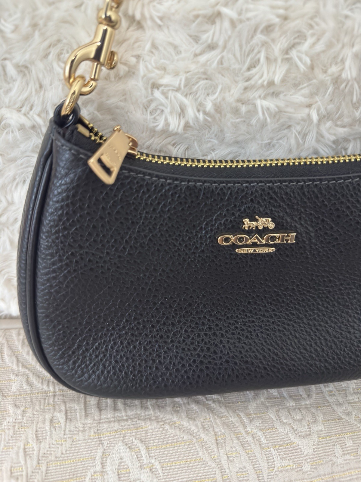 Coach Black Mini Teri