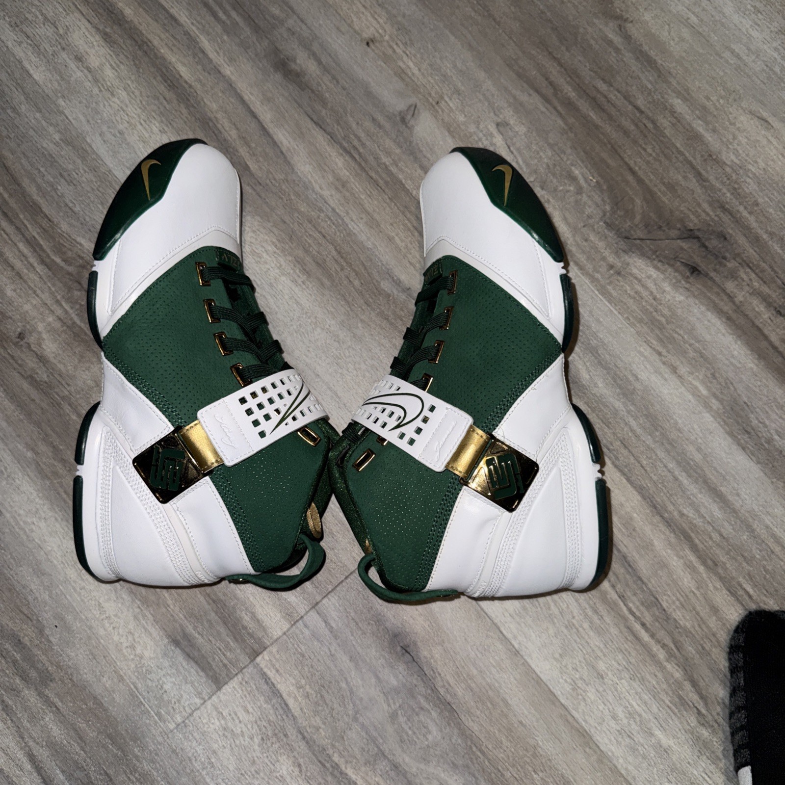 Size 10 – Nike Zoom LeBron 5 Birthday