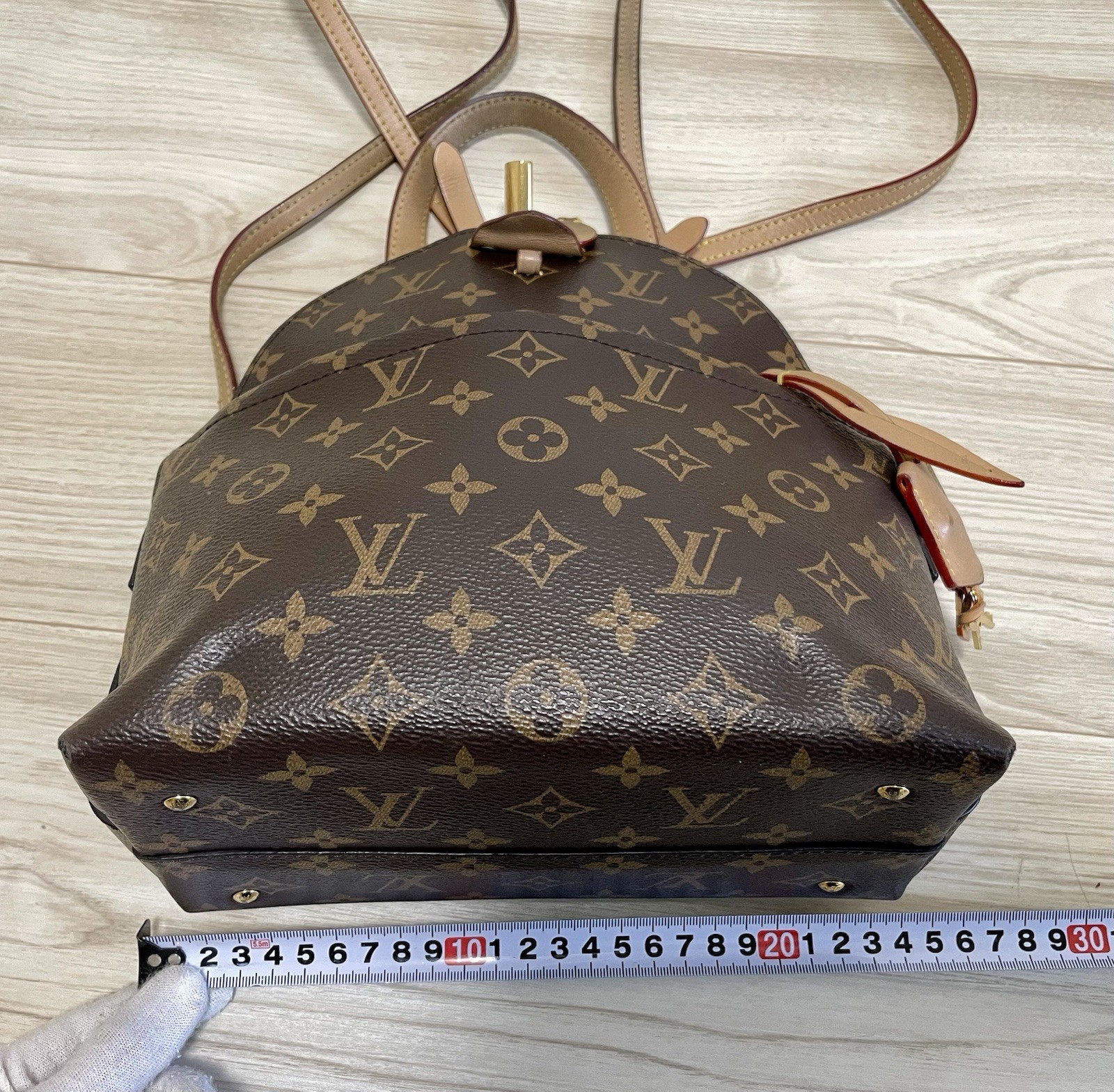 Louis Vuitton Monogram Moon Backpack M44944 Authentic