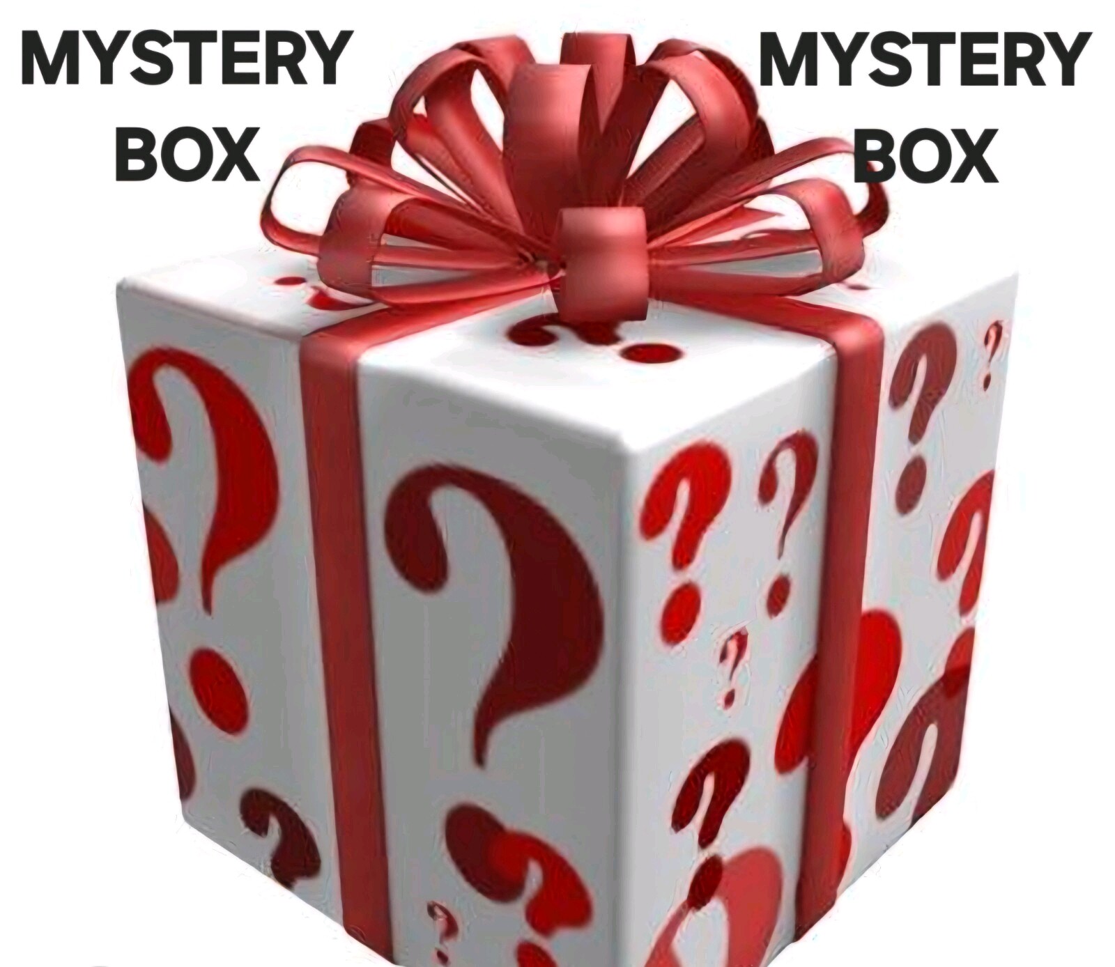 Mystery Boxes- Varies Purses and Apparel Items!!!