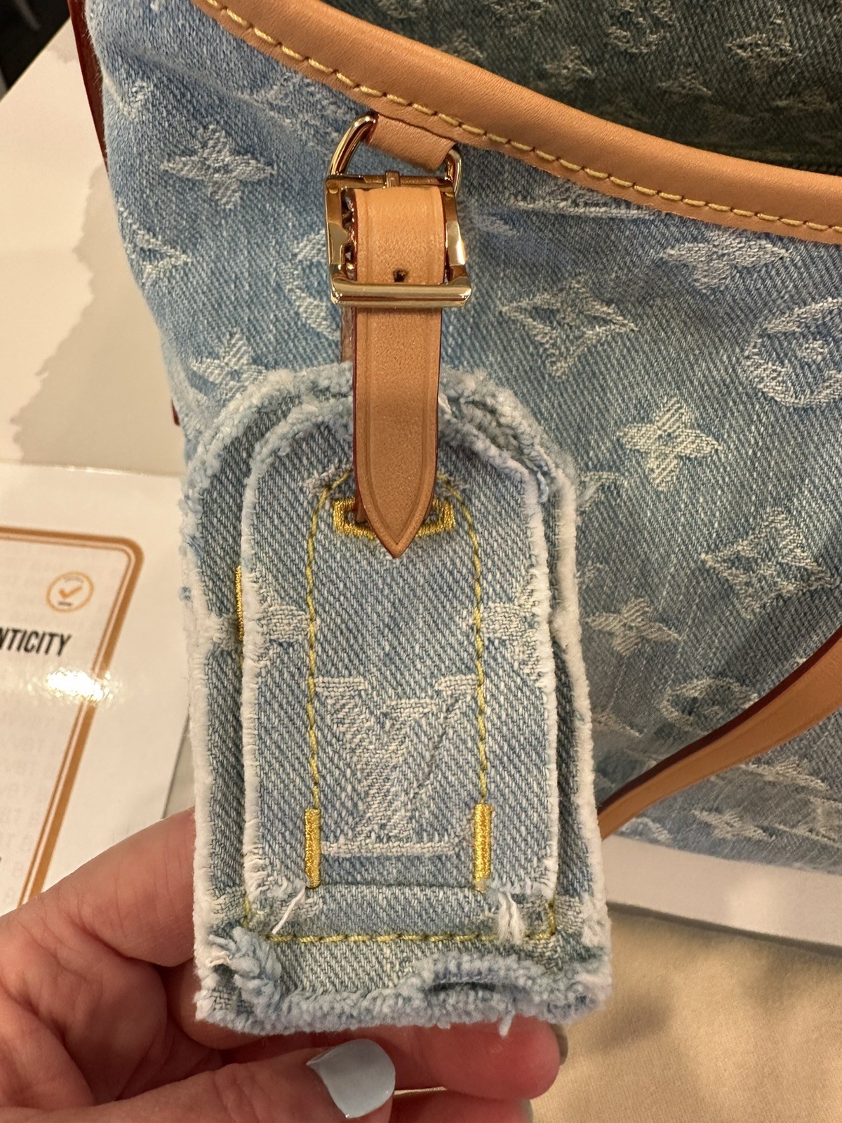 Louis Vuitton Monogram Denim CarryAll PM Sky Blue Limited Edition with Pochette