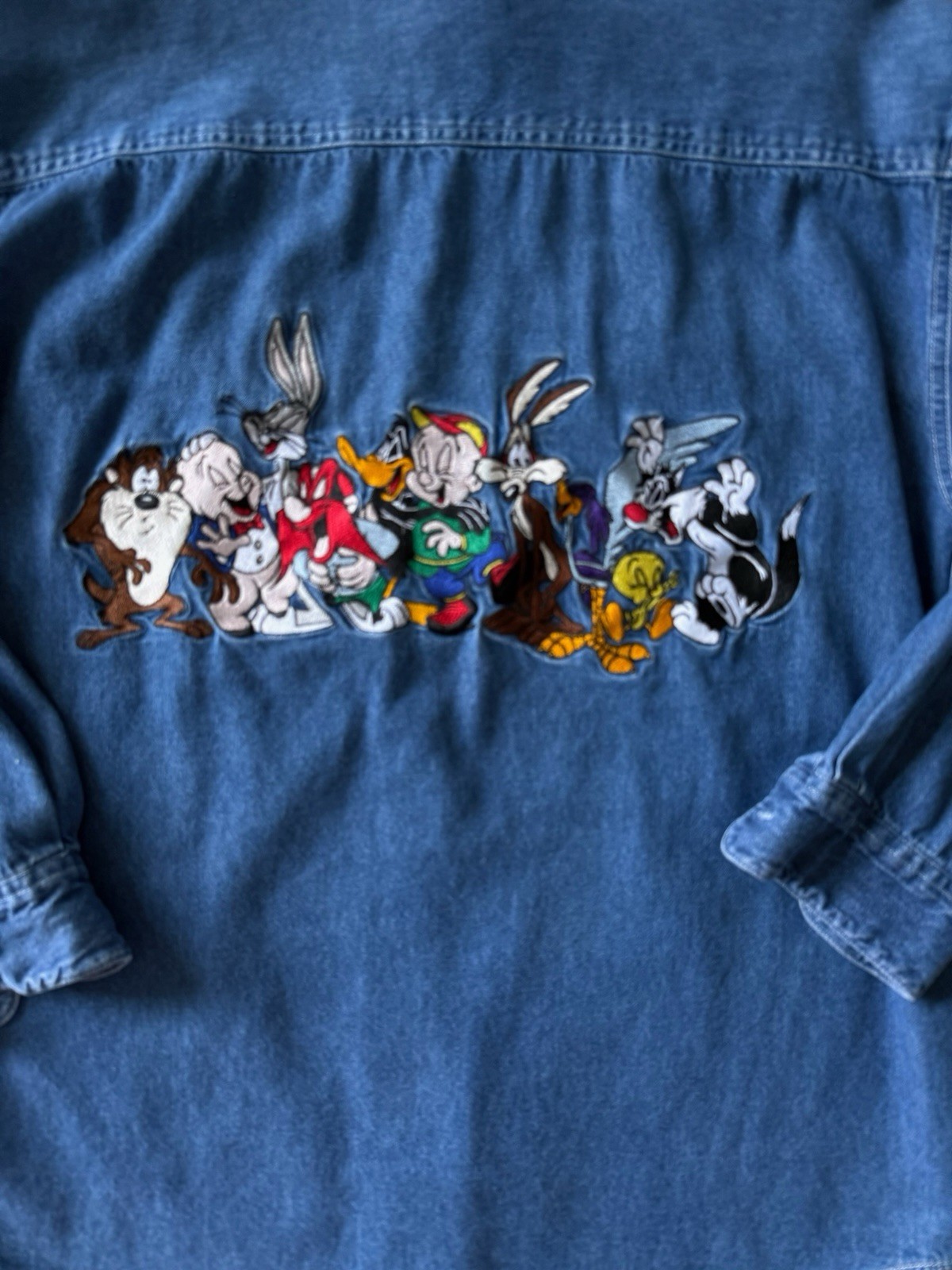 Warner Bros Studio Store Looney Tunes Denim Shirt Embroidered Vintage 90s Sz Sm