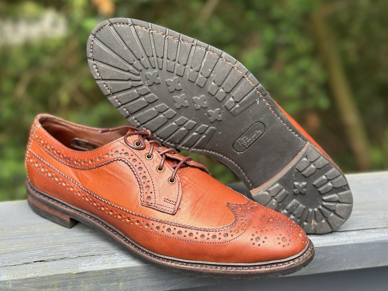 Allen Edmonds Aberdeen Brown Leather Wingtip Brogue Longwing Oxford 10.5D