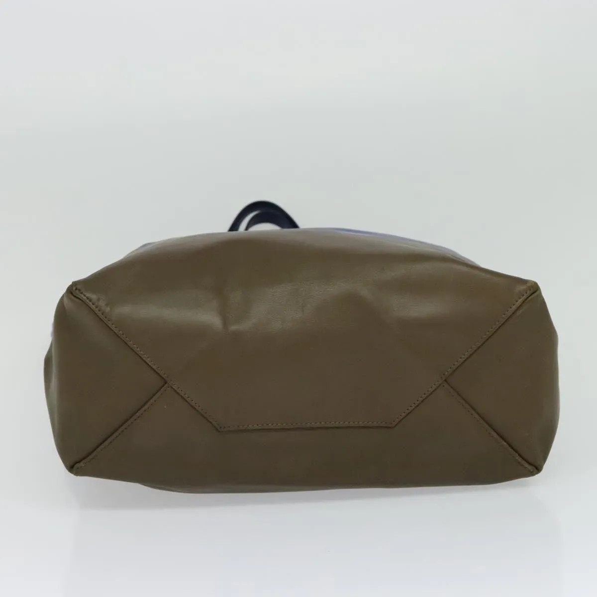 Celine Vertical Cabas Tote Leather Multicolour Tote Bag