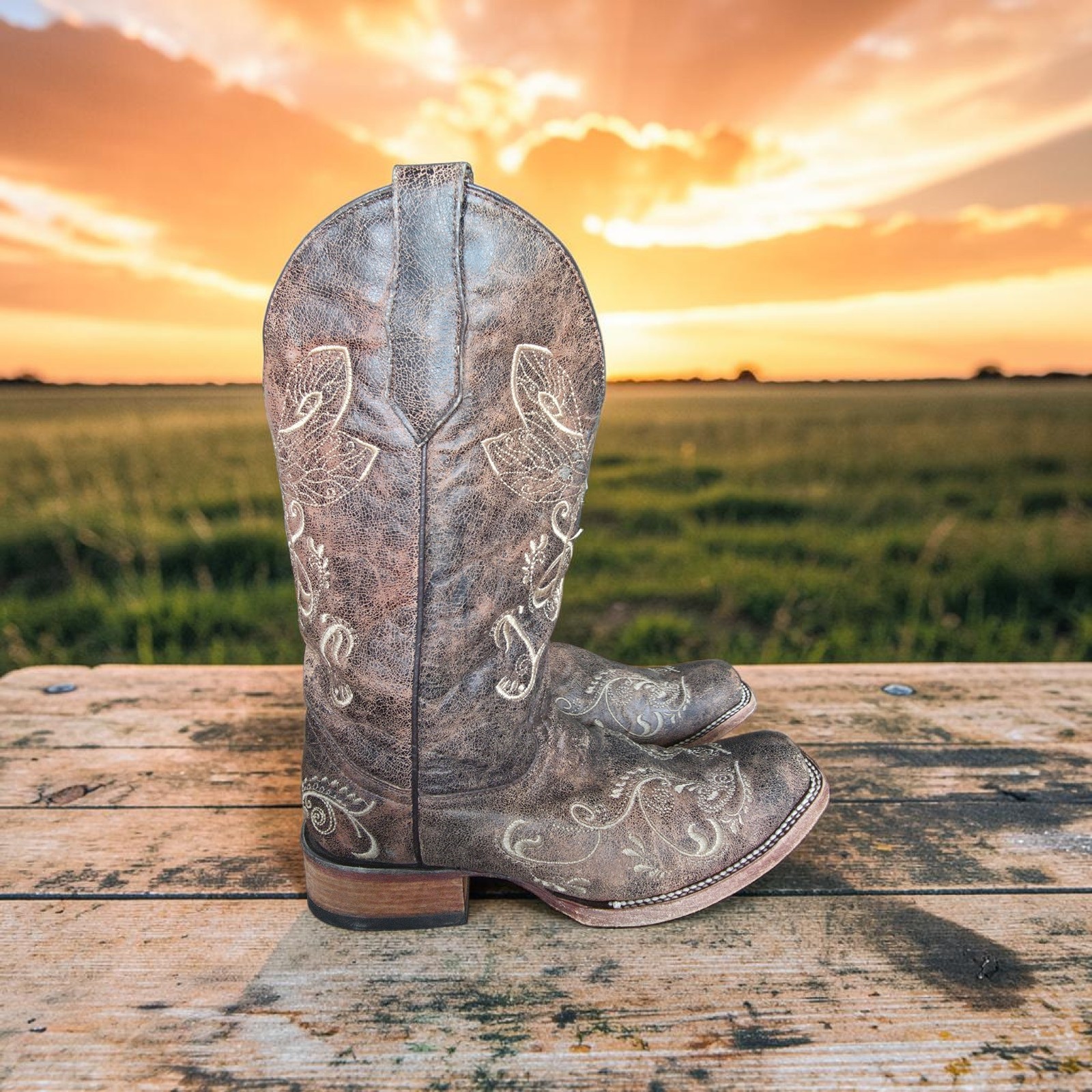 Circle G Women’s 10 M Dragonfly Embroidered Cowgirl Boot – Square Toe – L5079
