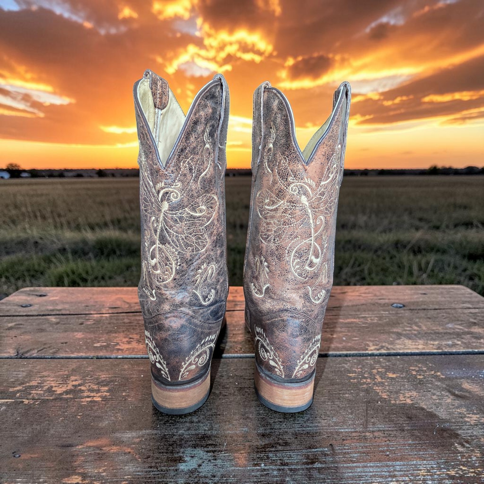 Circle G Women’s 10 M Dragonfly Embroidered Cowgirl Boot – Square Toe – L5079