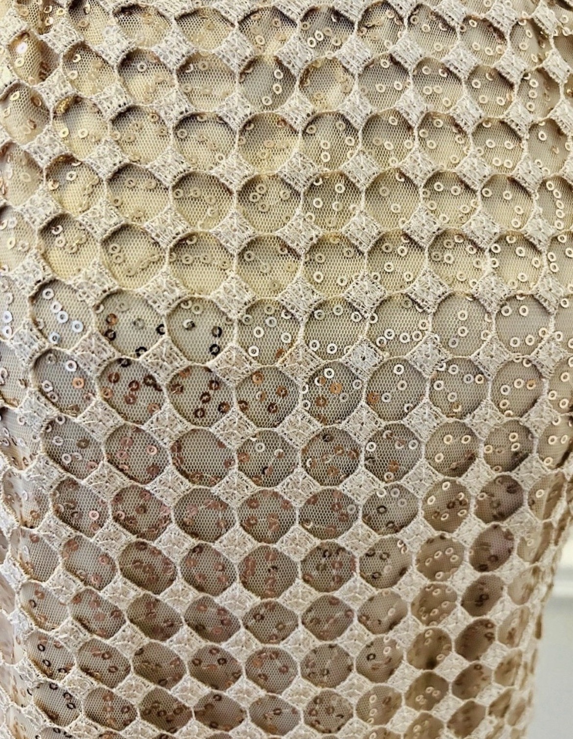 White House Black Market Women’s XS Beige Gold Sequin Mesh Zip Back Tank Top