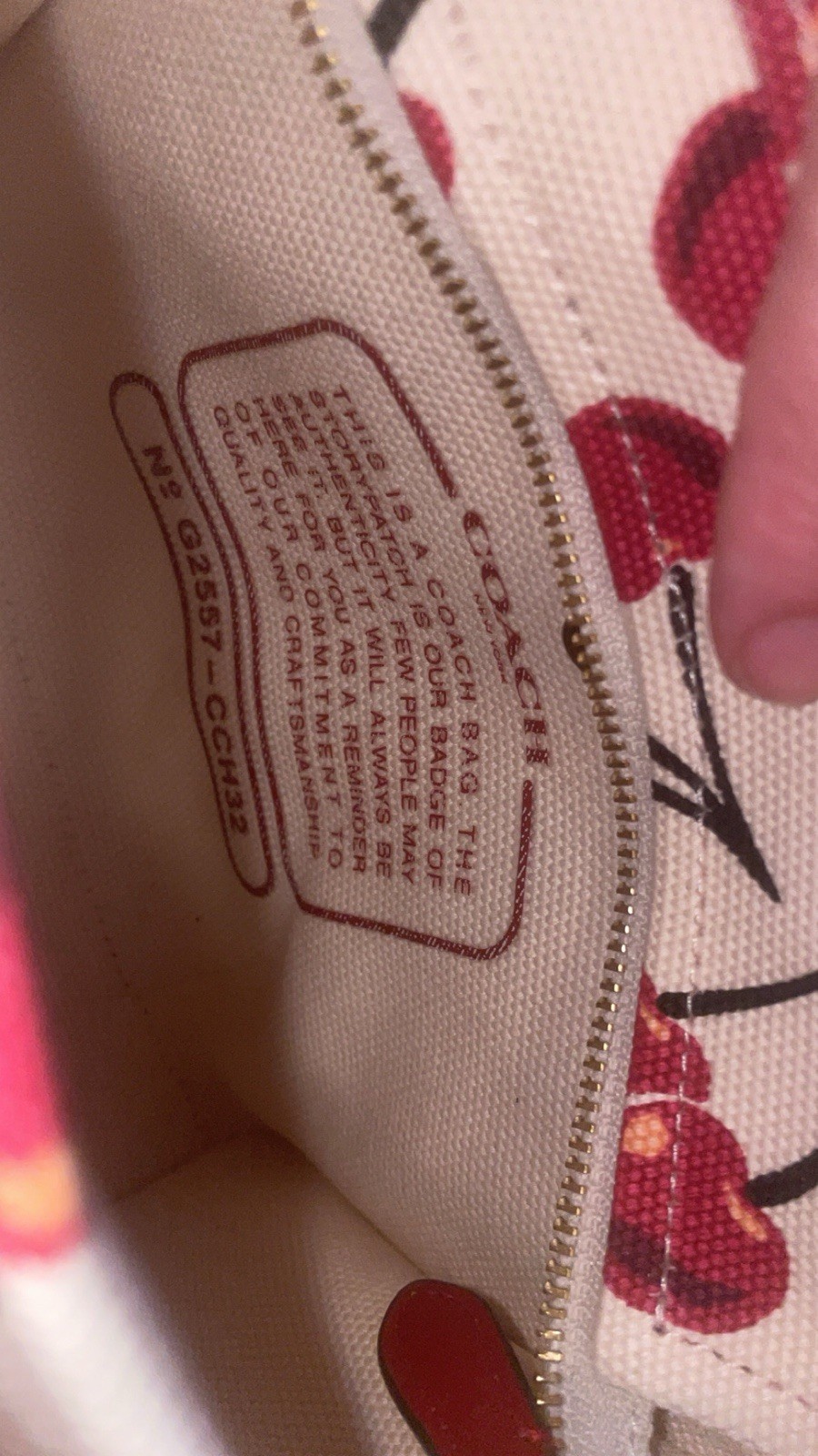 Coach Cargo Tote 20 with Cherry Print